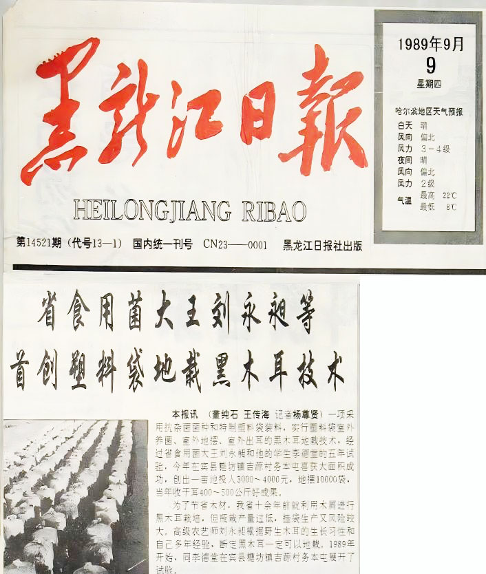 新闻11.jpg