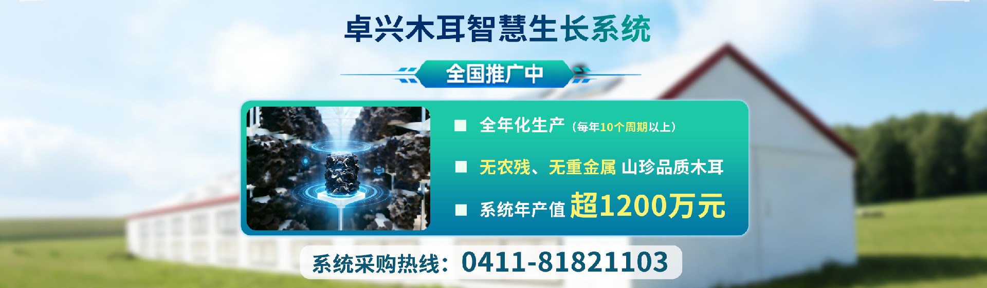 banner批改.jpg