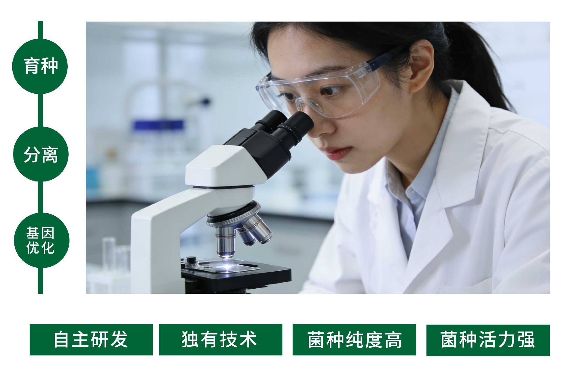 菌种.jpg