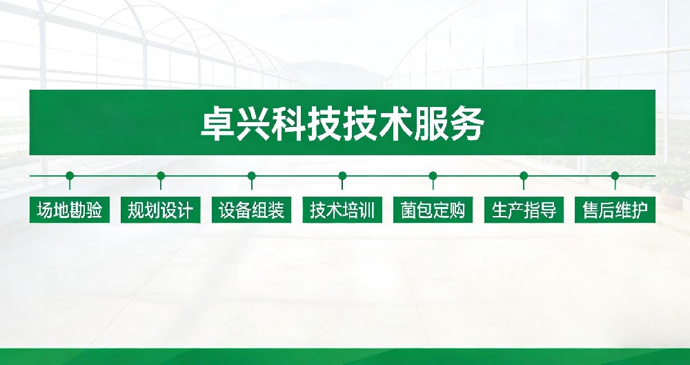 服务内容.jpg