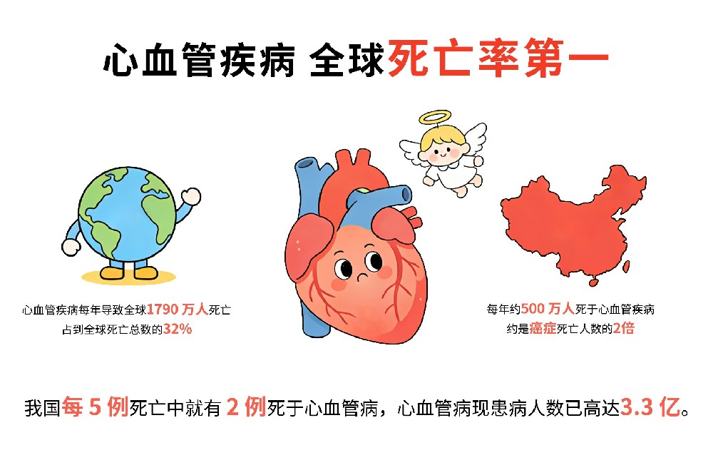 黑木耳对心血管的益处.jpg
